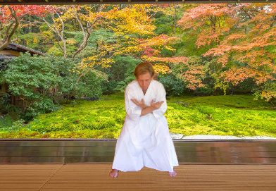 Stage été Qi Gong